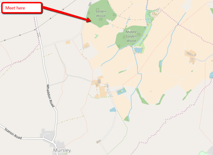Salden Wood Map